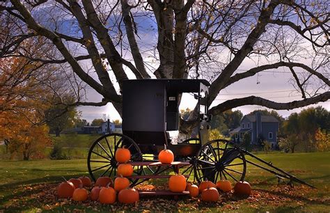 Amish Buggy Amish Country Amish Amish Culture