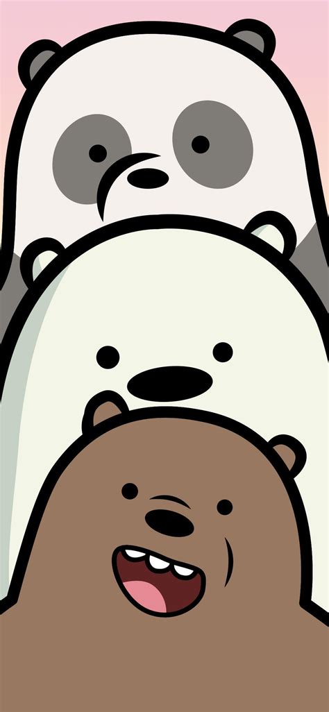 Cartoon Bear Wallpapers Top Những Hình Ảnh Đẹp