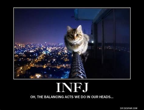 Apparently Cats Are The Infj Mascot Смешно Самые смешные картинки