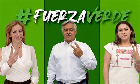 Postula Partido Verde a conductora de TV para diputación en Puebla El