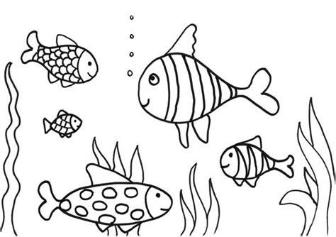 fishtank coloring   designlooter