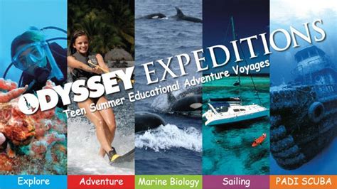 Marine Biology Scuba Diving Summer Camp With Odyssey Expeditions