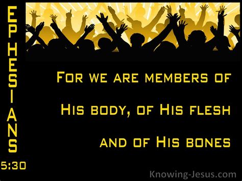 Ephesians 530 Members Of His Body And His Bones Yellow