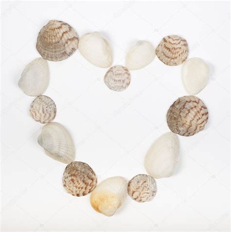 Heart Shape Made From Sea Shells On White — Stock Photo © Paulvinten