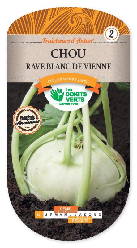 CHOU RAVE blanc de Vienne FRAIS DE PORT OFFERT Graines potagères Plantes Shopping