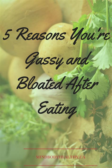 5 Reasons Youre Gassy And Bloated After Eating Mind Body Healthy