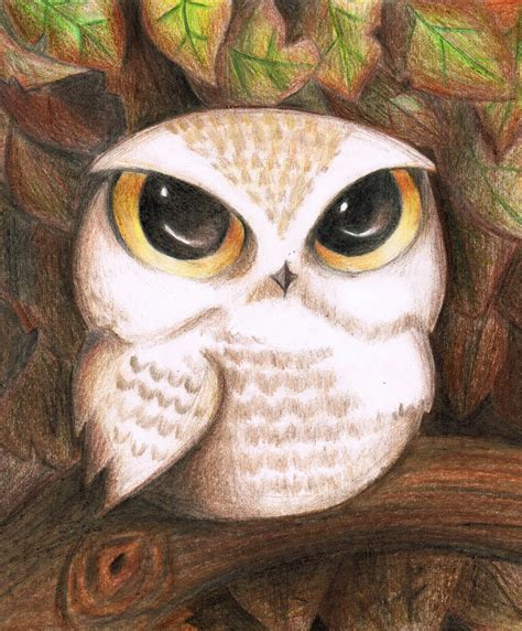 Cute Baby Owl Drawing At Getdrawings Free Download