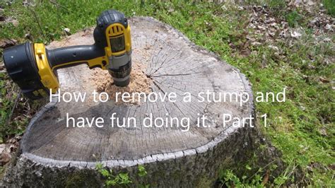 Easy Way To Remove Tree Stumps Part 1 Outdoor Wood Diy Outdoor