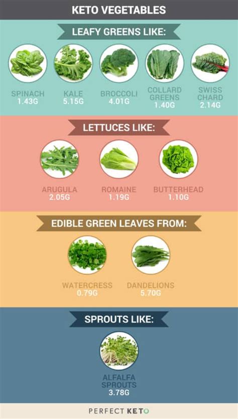 What Are The Best Low Carb Vegetables Shed And Shape