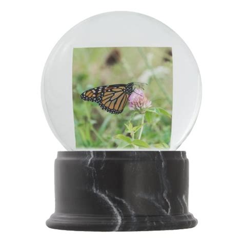 Monarch Butterfly Snow Globe Zazzle