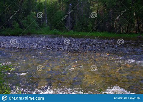 The Rapid Flow Of A Mountain River Running Through The Forest Sema