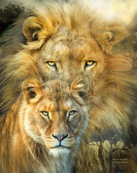 Lion And Lioness African Royalty Mixed Media By Carol Cavalaris