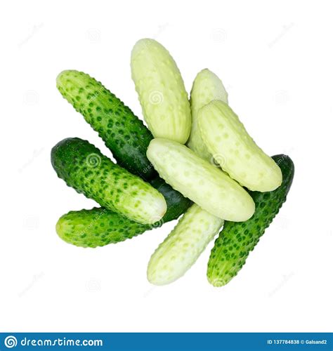 Several Small Cucumbers Gherkins Of Different Varieties