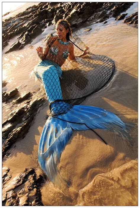 Pin By Kim Elisabeth Millard On Mermaid Mermaid Images Mermaids And