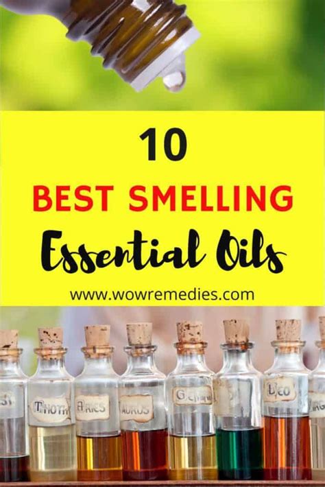 Best Smelling Essential Oil Blends For Perfume Best Worlds