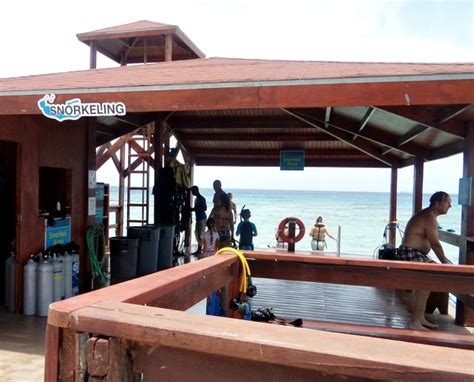 Aruba Cruise Excursion De Palm Island Beach And Snorkel