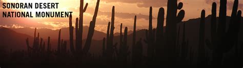 Sonoran Desert National Monument Map