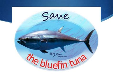 Save The Tuna