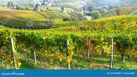 Scenic Vineyards Of Piedmont Famous Wine Region Of Italy Stock Image
