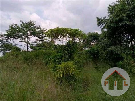 Perak gerik agriculture land 5 acres for sale near kuala rui gerik cheap land for investment. Agricultural Land for sale in Mubende Mubende Uganda, code ...
