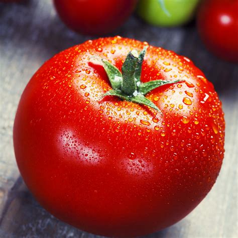 Tomate Ferline Les Doigts Verts