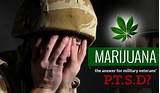 Marijuana And Veterans