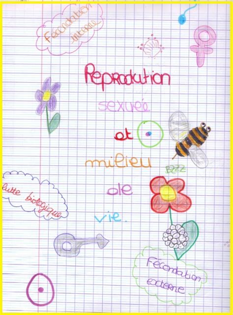 Je m'appelle youssef alandaloussi, je suis enseignant des sciences. Reproduction Sexuée | Vive les SVT