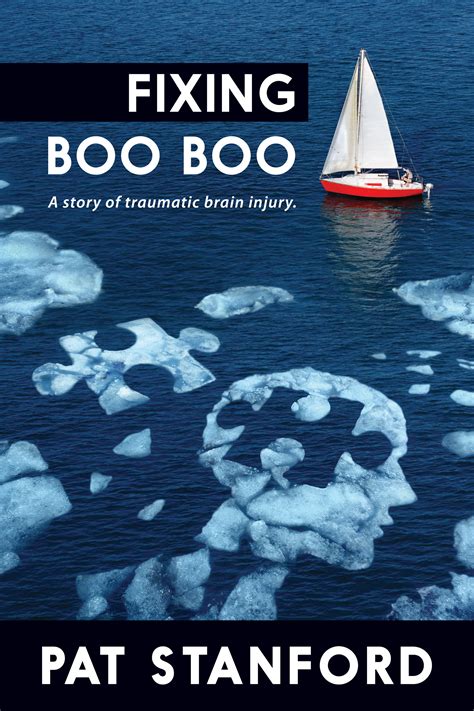 Tallahassee Writers Association Book Review Of Fixing Boo Boo By