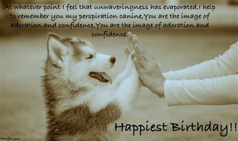 Best Birthday Wishes For You Dogs 50 Wishes And Quotes
