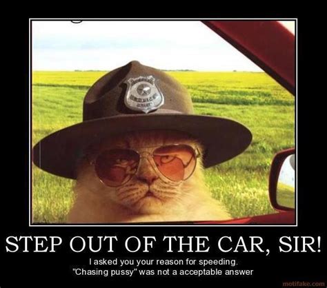 Cat Police Funny Pinterest