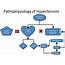 Fig Pathophysiology Of Hypertension  Download Scientific Diagram