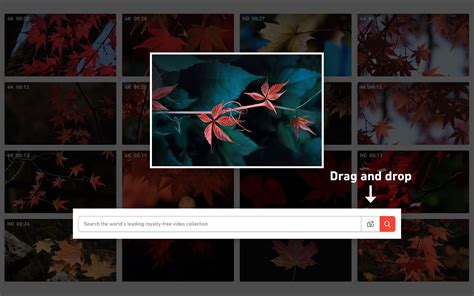 Reverse Image Search For Video Shutterstock