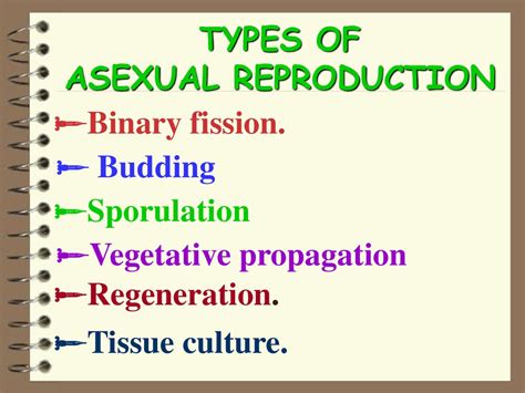 Result Images Of List Types Of Asexual Reproduction Png Image My XXX
