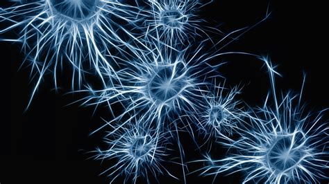 Neuron Wallpapers 52 Images