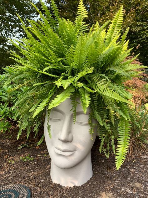 Outdoor planters | Container garden design, Inside plants decor