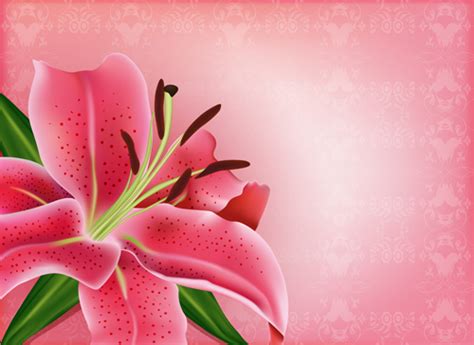 Made for love is a darkly absurd and cynically poignant story of love and divorce. Beautiful flower with pink backgrounds vector 01 free download