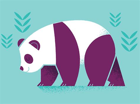 Panda Illustration Panda Graphic Design