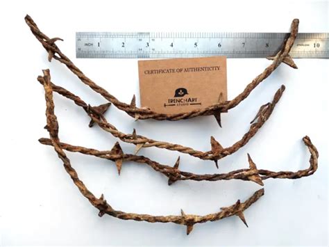 Trench Warfare Barbed Wire Cutter Wwi German Barb Battle Relic World