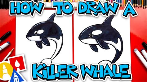 How To Draw A Killer Whale Orca Youtube