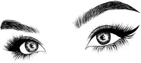 Eyelashes And Eyebrows Png Images Transparent Background Png Play