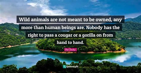 Wild Animals Are Not Meant To Be Owned Any More Than Human Beings Are