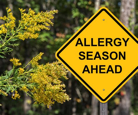 5 Natural Ways To Get Relief From Seasonal Allergies