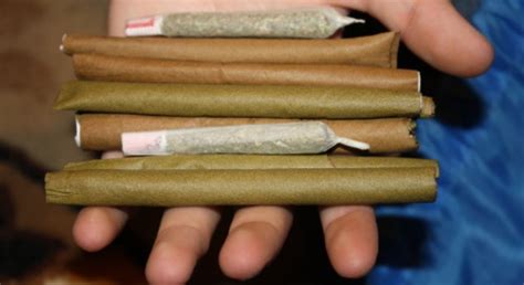 Rolling Papers and Blunt Wraps Often Contain High Levels ...