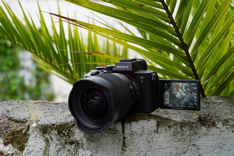 Sony A7s Iii Get The Product Reviews