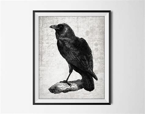 Raven Print Raven Wall Art Poster Common Raven Bird Print