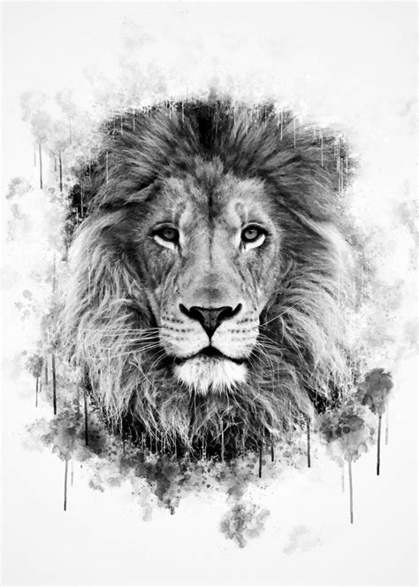 Lion Head Black And White Poster Print By Cornel Vlad Displate