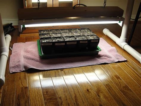 Lessons From The Garden Diy Plant Grow Light Stand