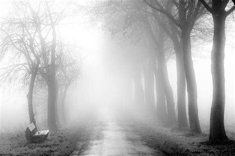 On A Foggy Winters Day Foggy Country Roads Winters