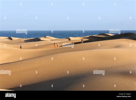 Sand Dunes Maspalomas Playa Del Ingles Gran Canaria Spain Stock