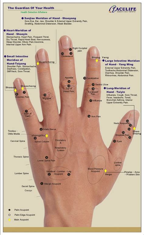 Hand Chart For Pressure Points